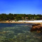 Rainbow Bay Nature And