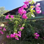 Rainbow Bay Nature And