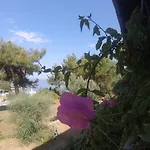 Rainbow Bay Nature And Özdere