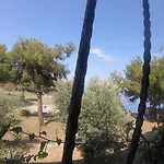 Rainbow Bay Nature And Özdere