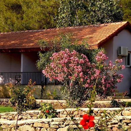 Rainbow Bay Nature And * Özdere