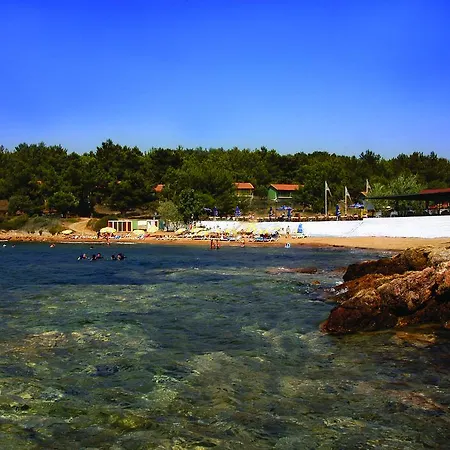 Rainbow Bay Nature And