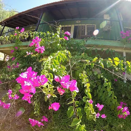 호텔 Rainbow Bay Nature And
