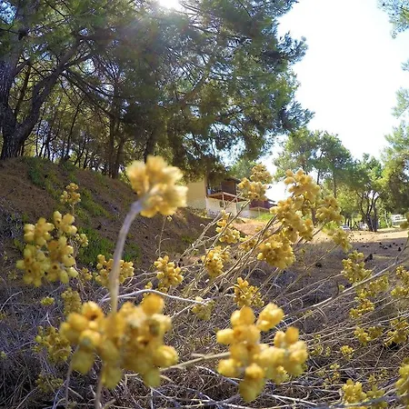 Rainbow Bay Nature And Hotel