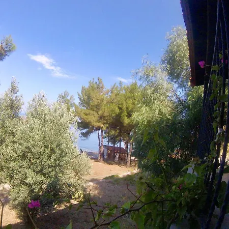 Rainbow Bay Nature And