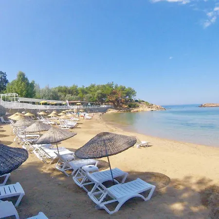 Rainbow Bay Nature And *