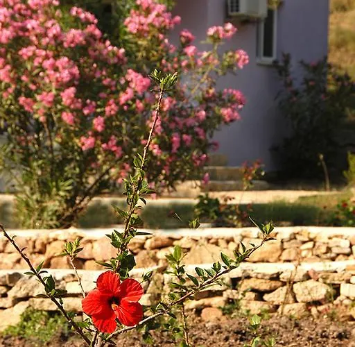 Rainbow Bay Nature And Özdere