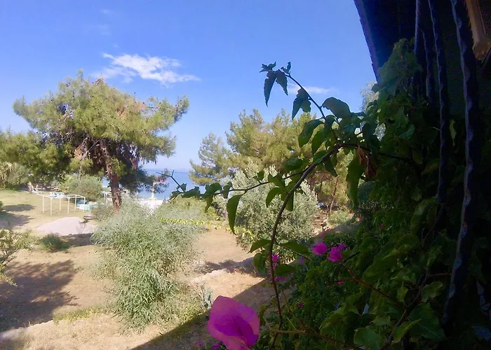 Rainbow Bay Nature And Hotell