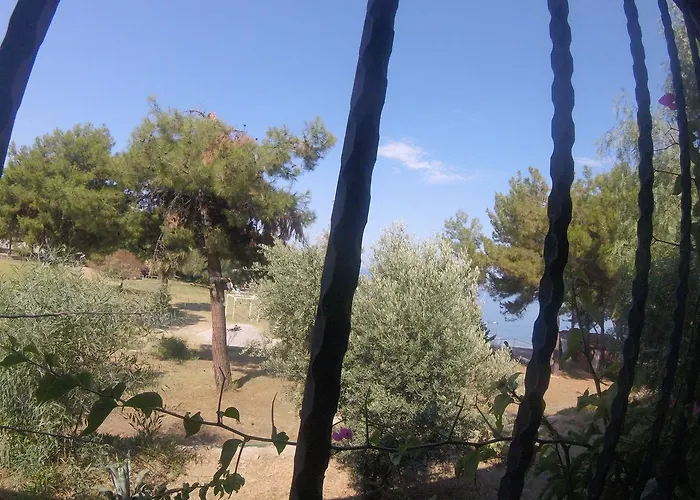 Rainbow Bay Nature And Özdere