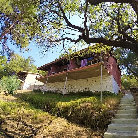 Rainbow Bay Nature And