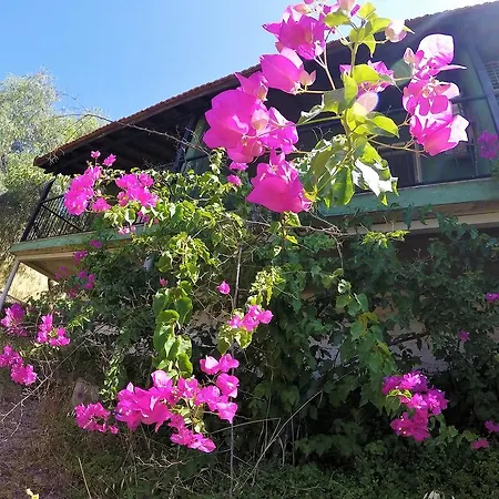 Rainbow Bay Nature And