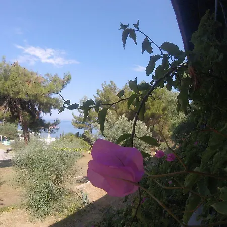 Rainbow Bay Nature And Özdere