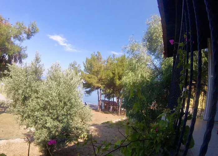 Rainbow Bay Nature And