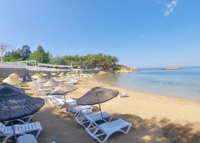 Rainbow Bay Nature And *